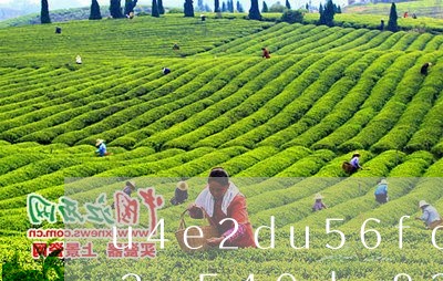 以茶中欧体育官网为道：一张图让你弄懂中国的茶类