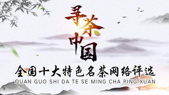 中欧体育app下载《寻茶中国》全国十大特色名茶大明山感仙绿茶榜上有名